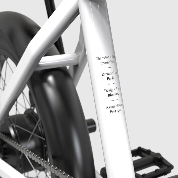 C17 - Cargo Bike urbain compact