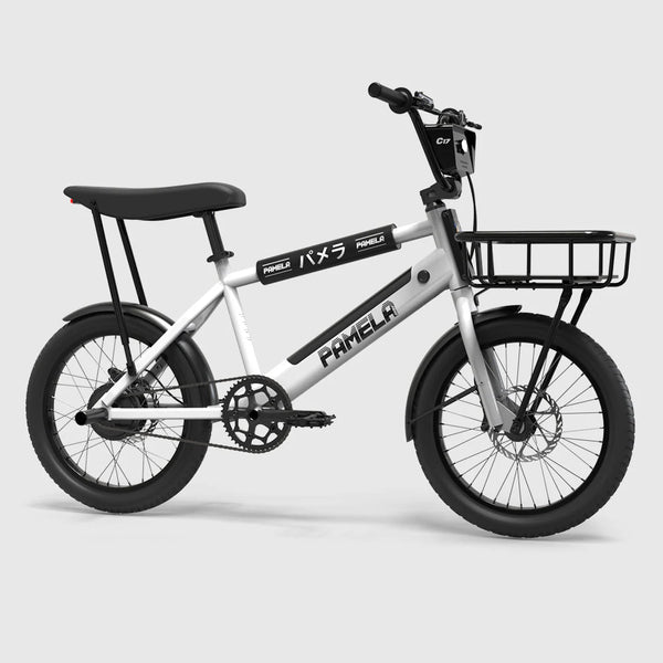 C17 - Cargo Bike urbain compact