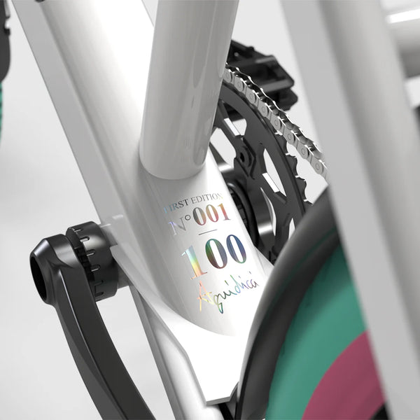 C18 - Cargo Bike urbain compact