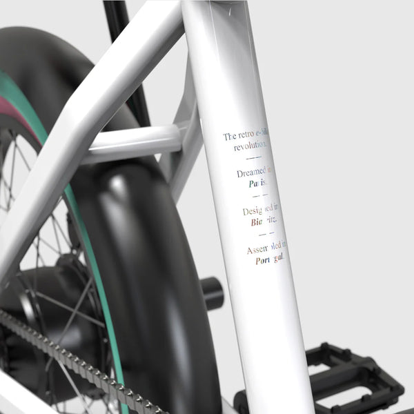 C18 - Cargo Bike urbain compact