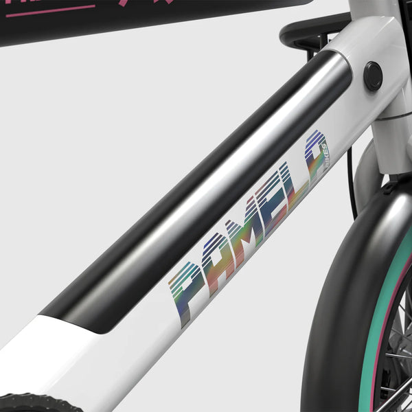 C18 - Cargo Bike urbain compact