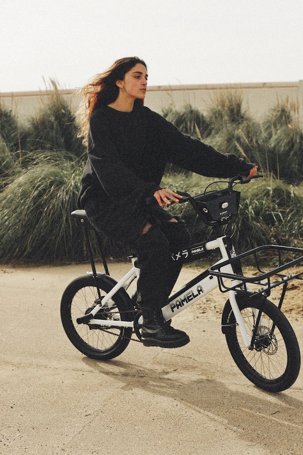 C17 - Cargo Bike urbain compact