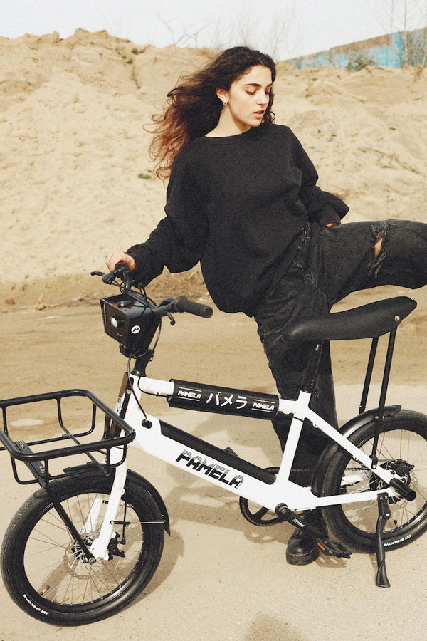 C17 - Cargo Bike urbain compact