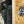 Pack 8 Stickers 4h10 V4