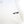 Tee-shirt 4h10 SUPERCAR BLANC