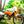 Ticket TOMBOLA Jeu "SUPER TENERE"